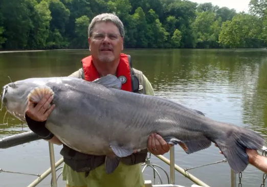 How To Catch Blue Catfish