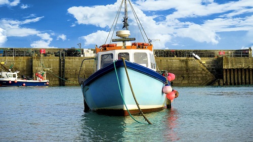 Does Boat Color Matter for Fishing?